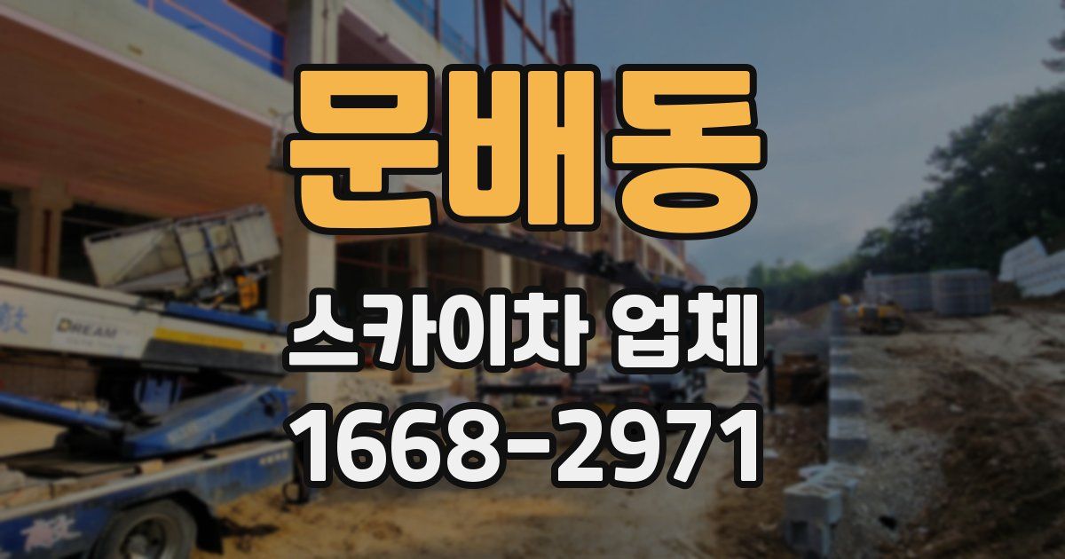 문배동 스카이차 업체