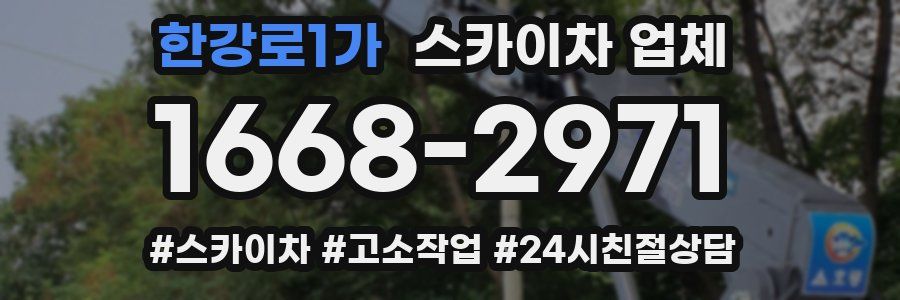 한강로1가 스카이차 업체