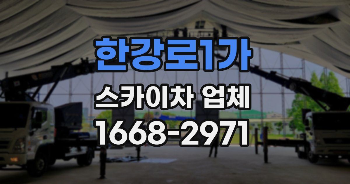 한강로1가 스카이차 업체