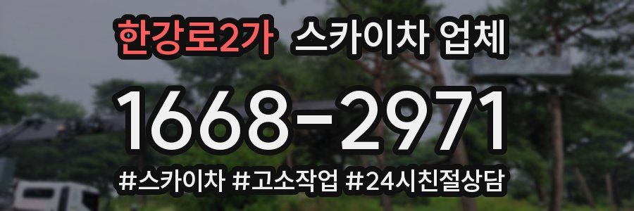 한강로2가 스카이차 업체