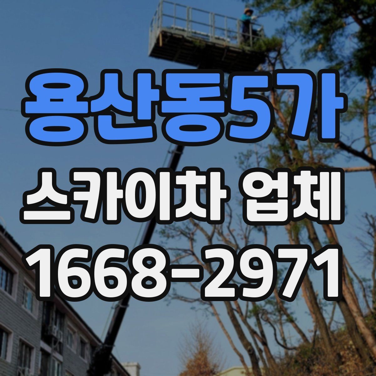 용산동5가 스카이차 업체 이용 전 일정 변경 시 알아둘 점
