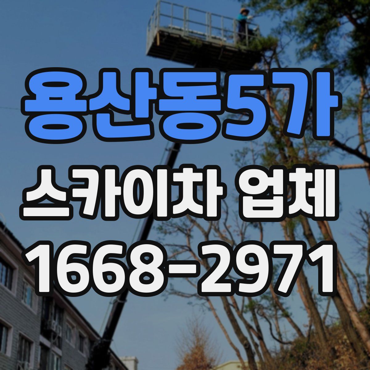 용산동5가 스카이차 업체