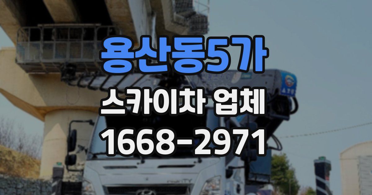 용산동5가 스카이차 업체