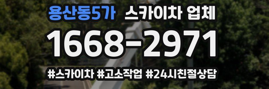 용산동5가 스카이차 업체