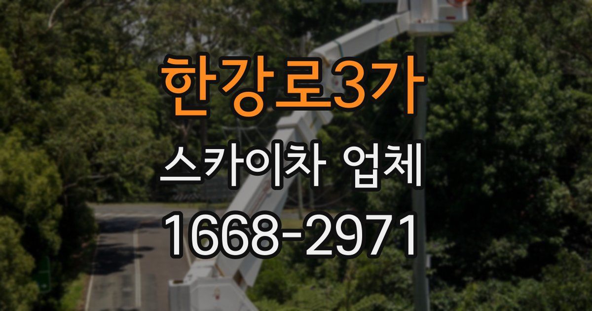 한강로3가 스카이차 업체