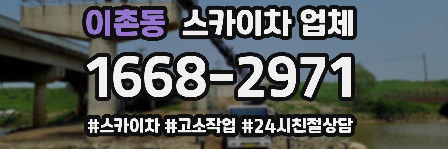 이촌동 스카이차 업체