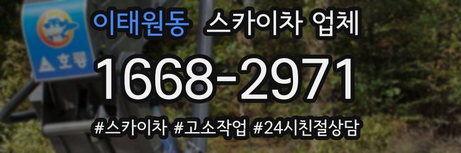 이태원동 스카이차 업체