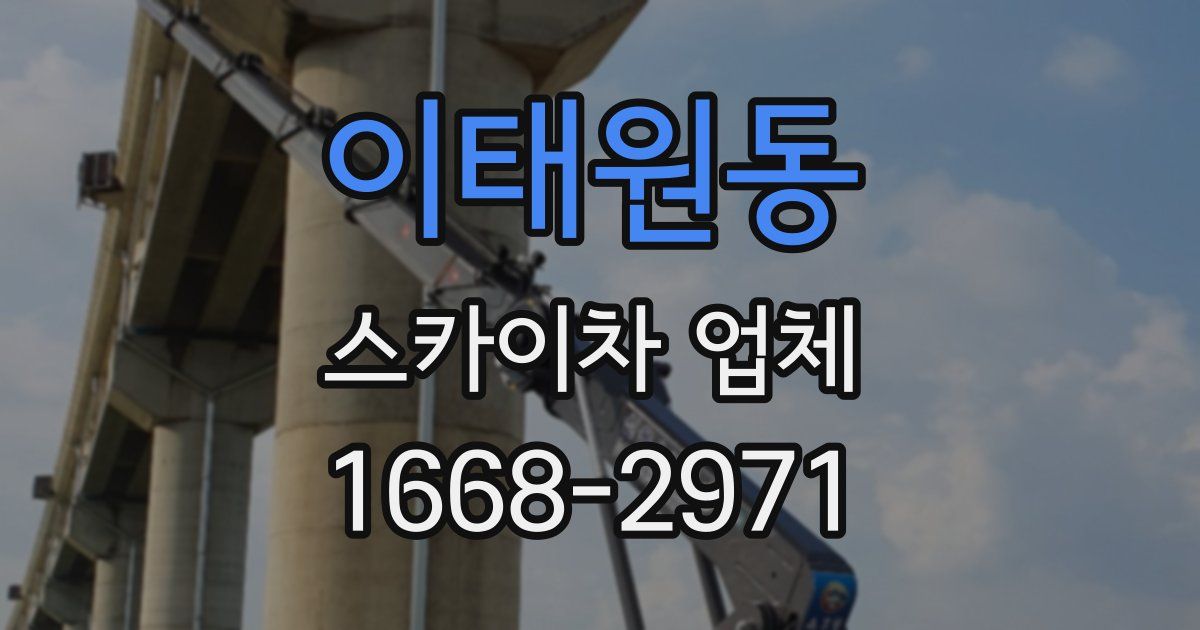 이태원동 스카이차 업체