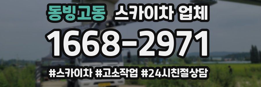 동빙고동 스카이차 업체