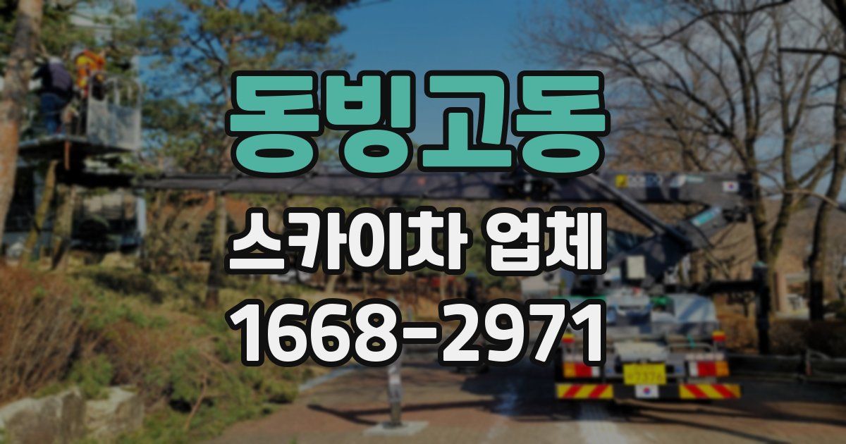 동빙고동 스카이차 업체