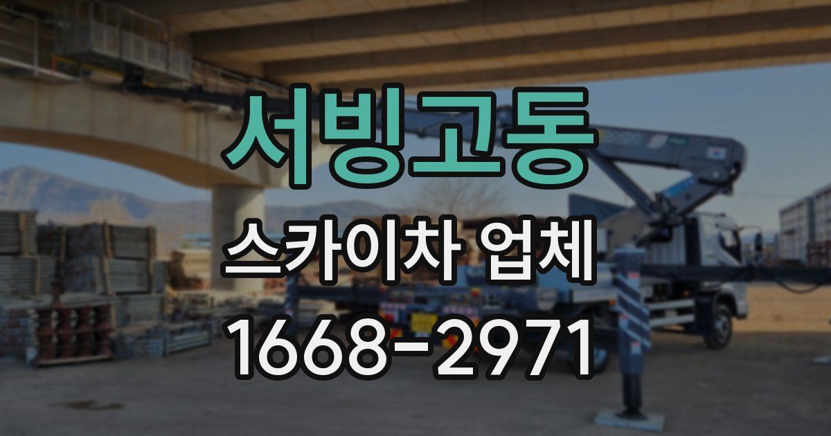 서빙고동 스카이차 업체