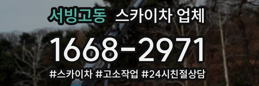 서빙고동 스카이차 업체