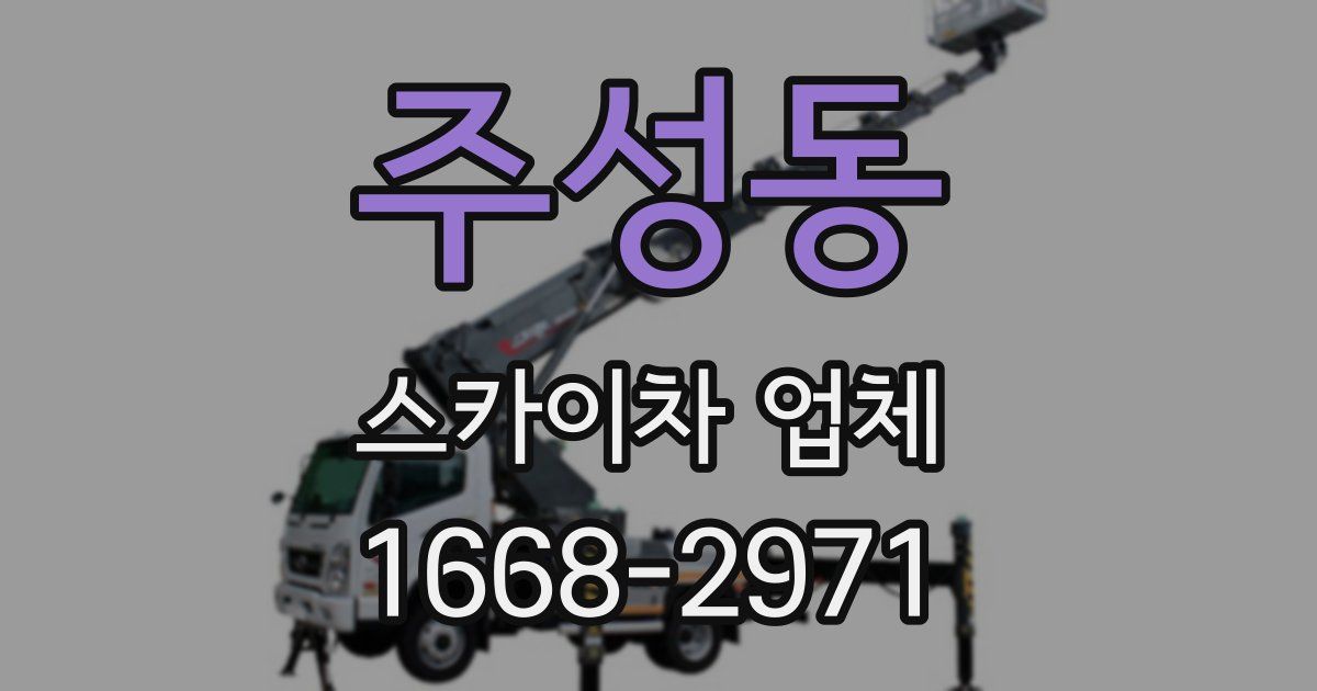 주성동 스카이차 업체