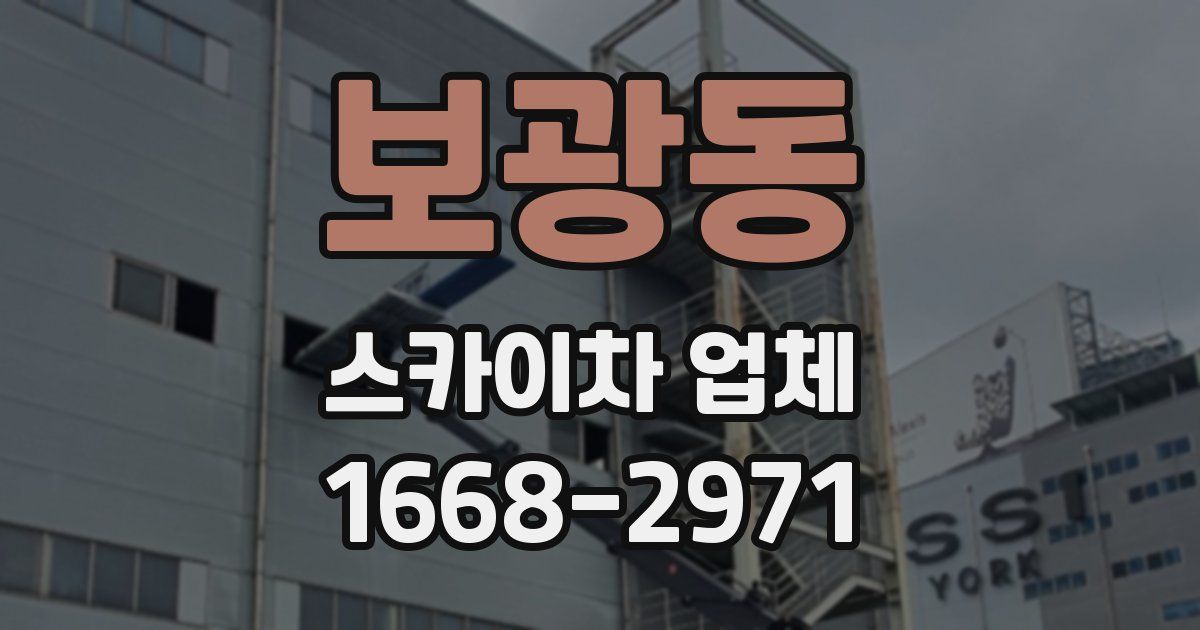 보광동 스카이차 업체