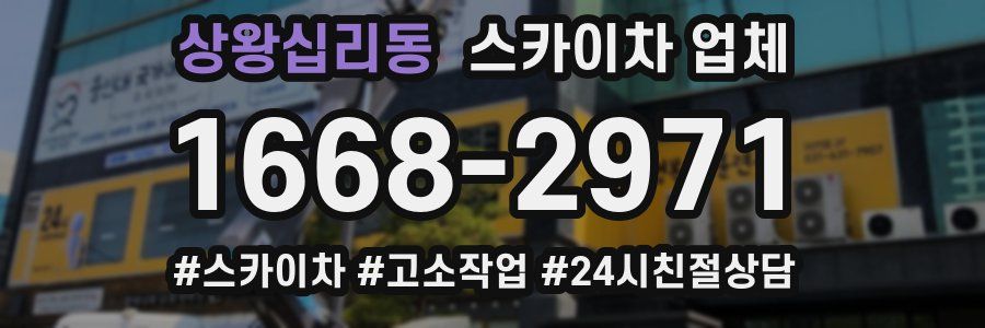 상왕십리동 스카이차 업체
