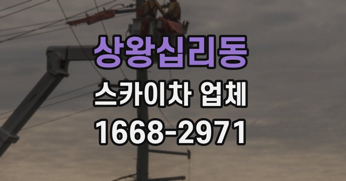 상왕십리동 스카이차 업체