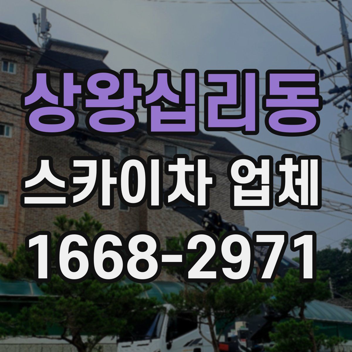 상왕십리동 스카이차 업체