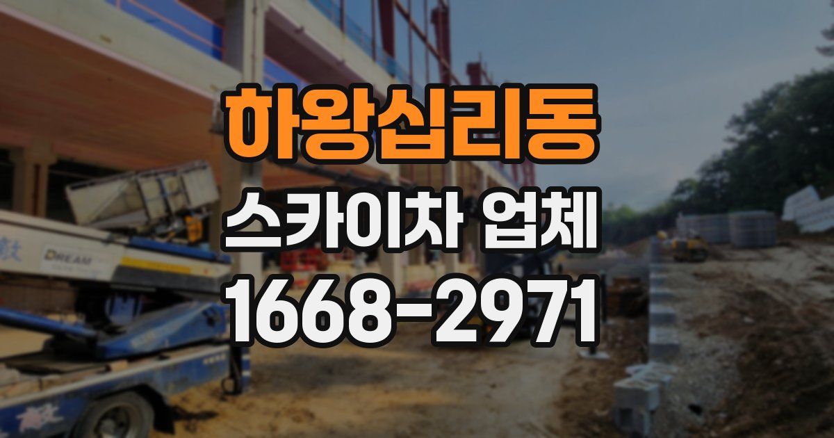 하왕십리동 스카이차 업체