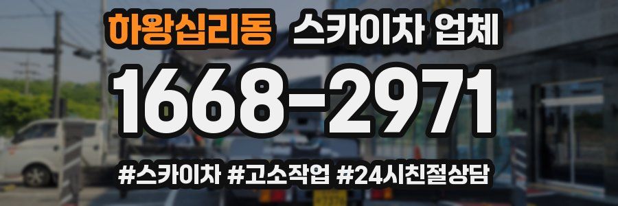 하왕십리동 스카이차 업체