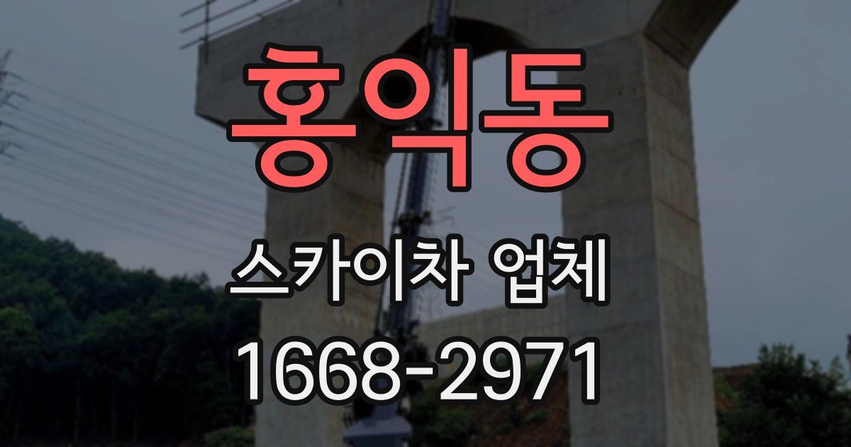 홍익동 스카이차 업체