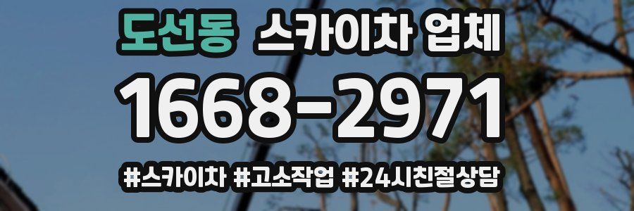 도선동 스카이차 업체