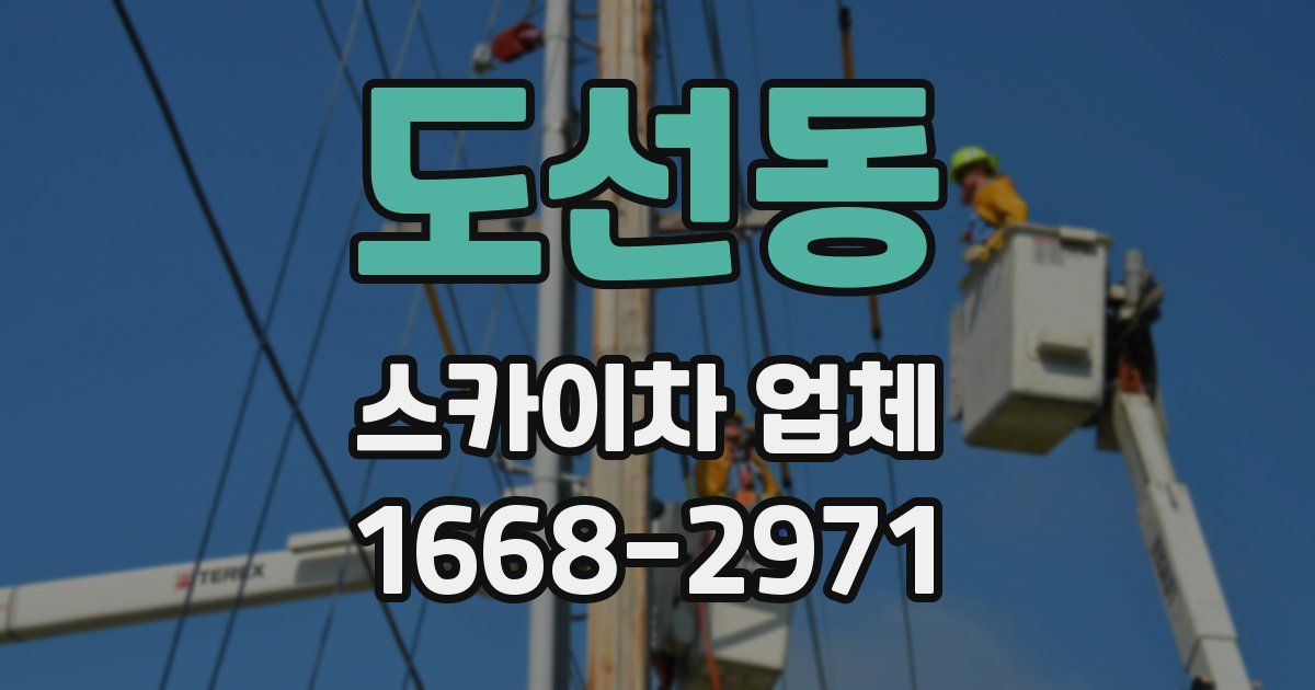 도선동 스카이차 업체