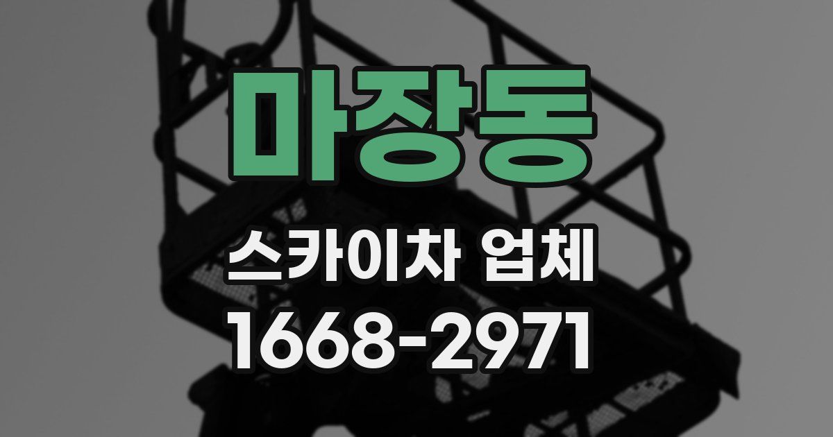 마장동 스카이차 업체