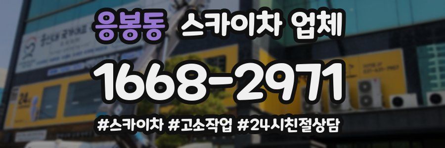 응봉동 스카이차 업체
