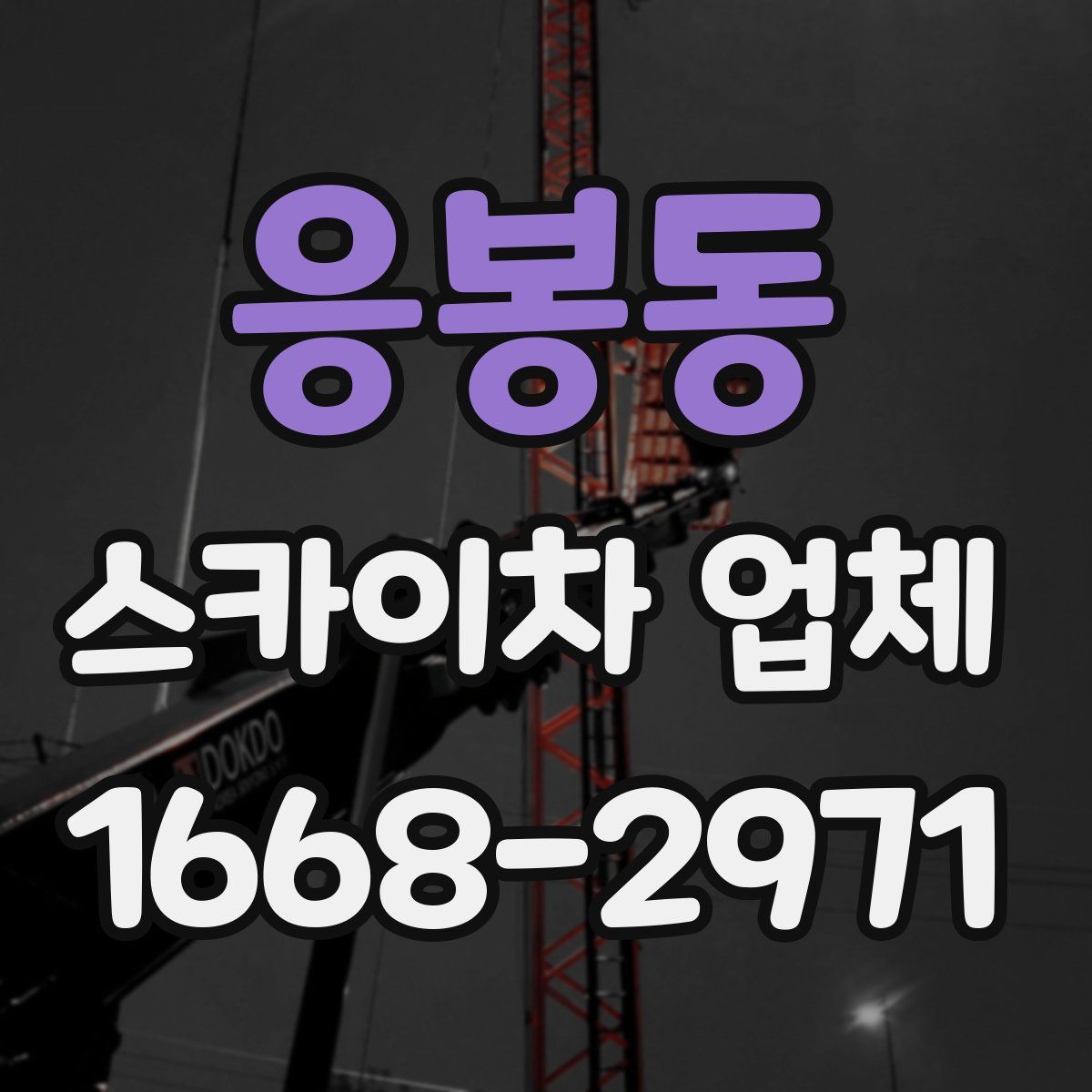응봉동 스카이차 업체