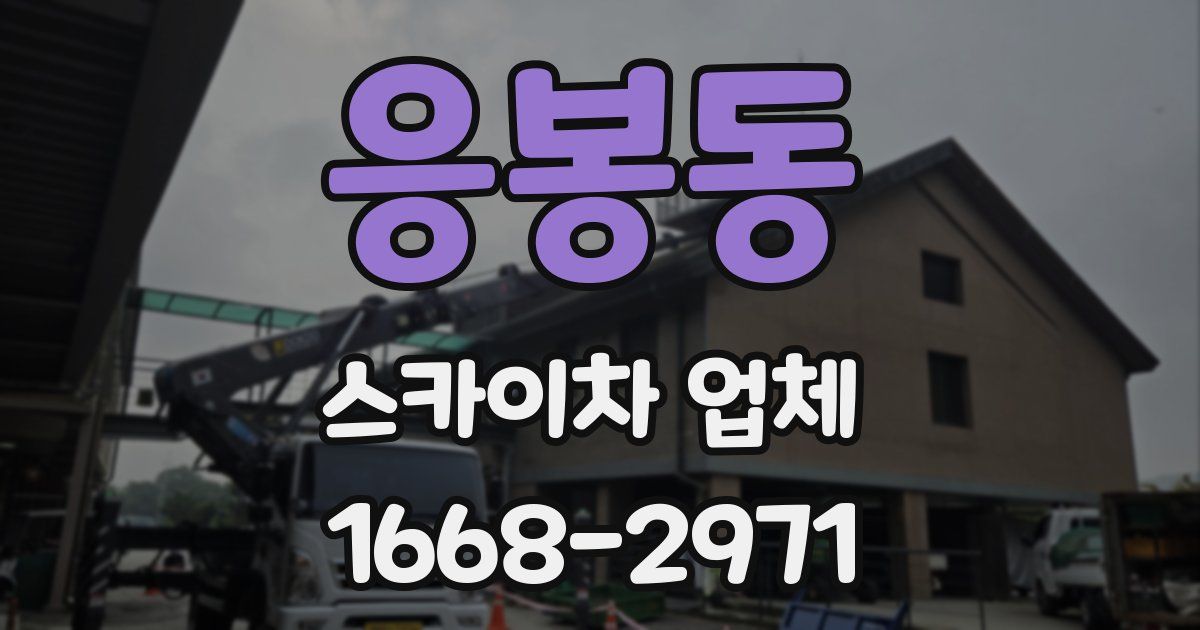 응봉동 스카이차 업체