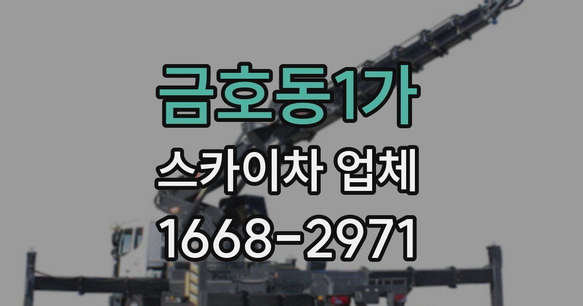 금호동1가 스카이차 업체
