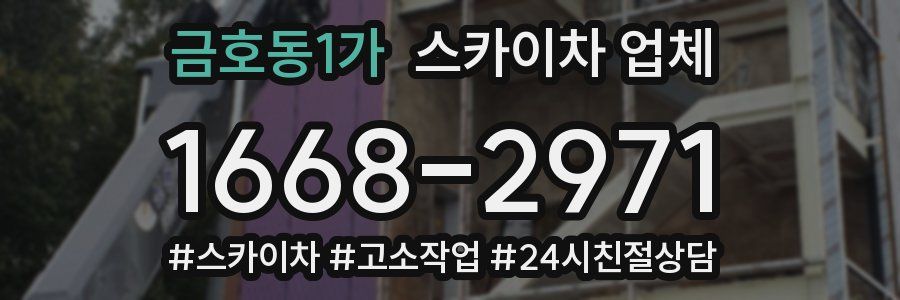 금호동1가 스카이차 업체