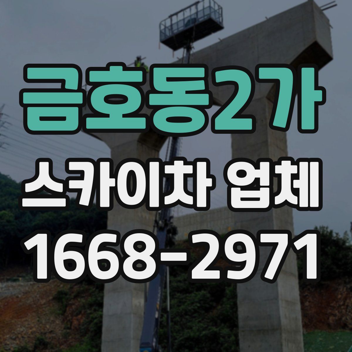 금호동2가 스카이차 업체