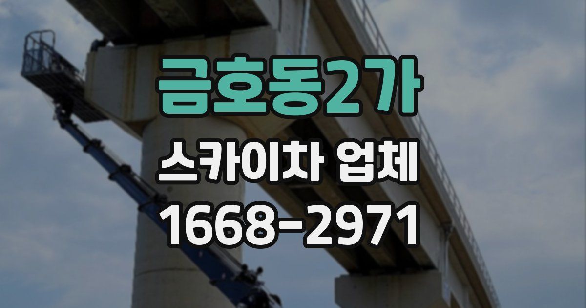 금호동2가 스카이차 업체
