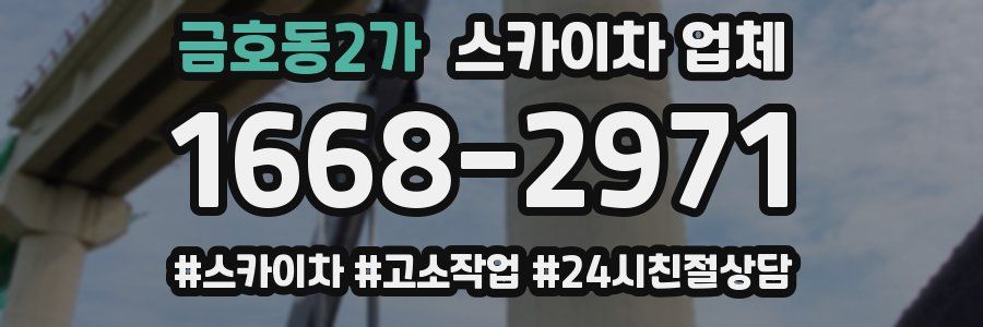 금호동2가 스카이차 업체