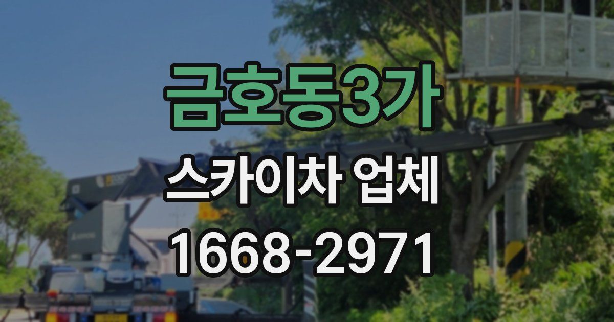 금호동3가 스카이차 업체