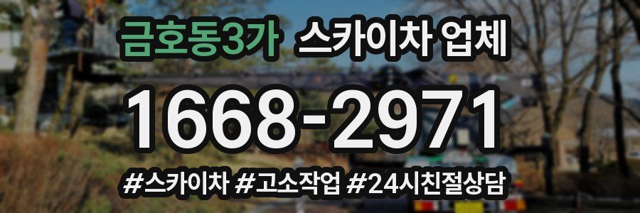 금호동3가 스카이차 업체
