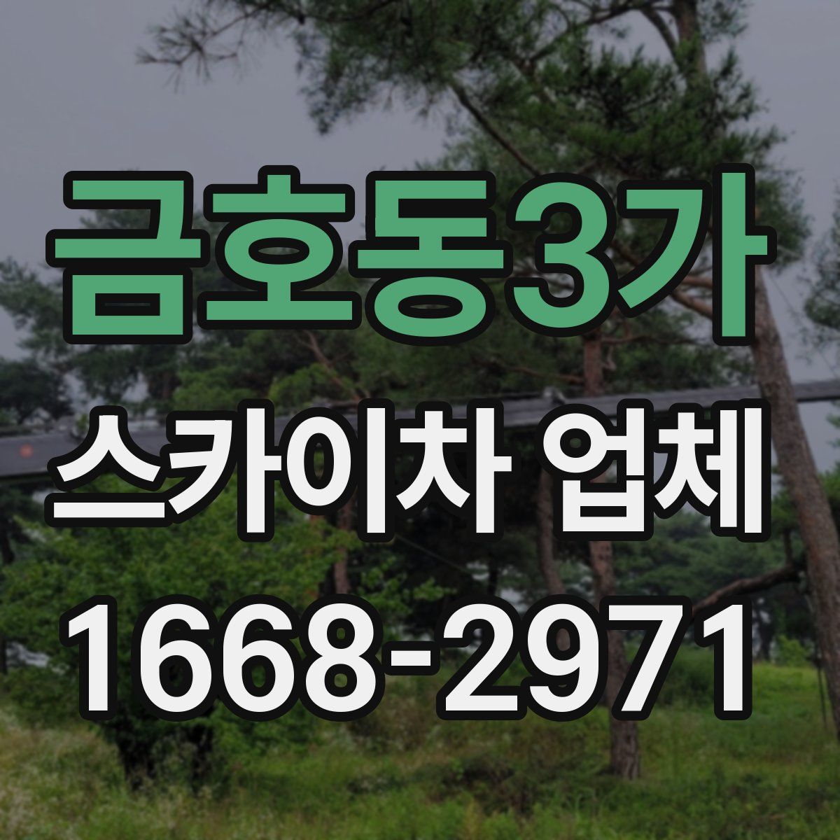 금호동3가 스카이차 업체