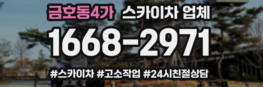 금호동4가 스카이차 업체