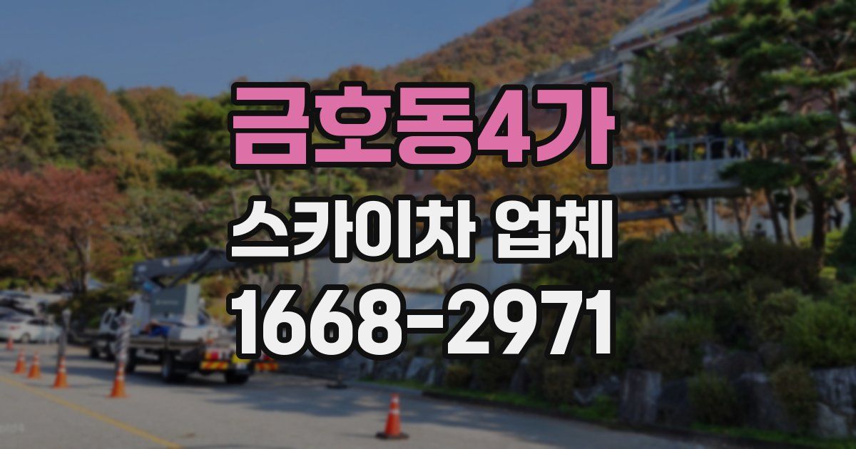 금호동4가 스카이차 업체