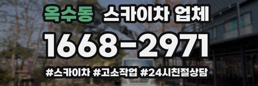 옥수동 스카이차 업체