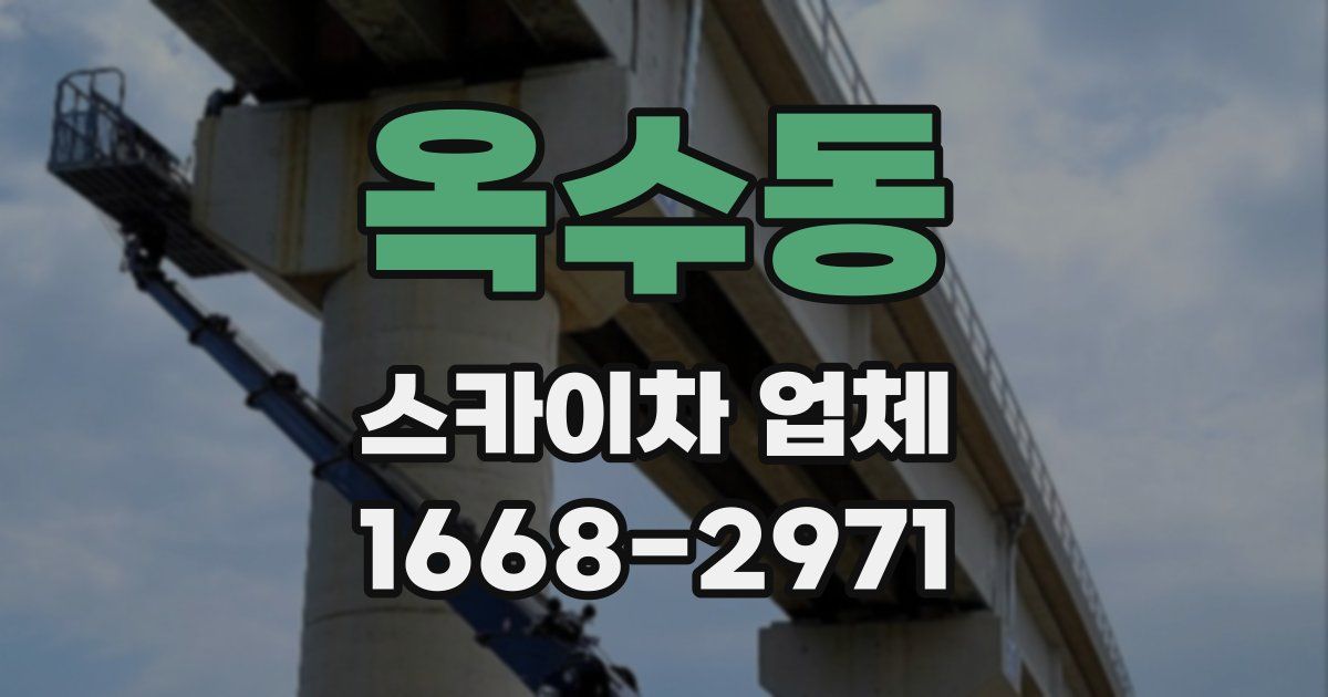 옥수동 스카이차 업체