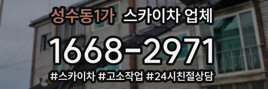 성수동1가 스카이차 업체