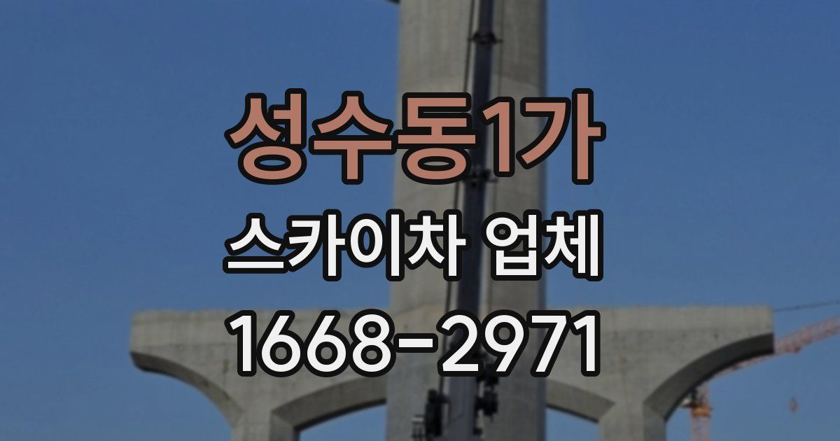 성수동1가 스카이차 업체