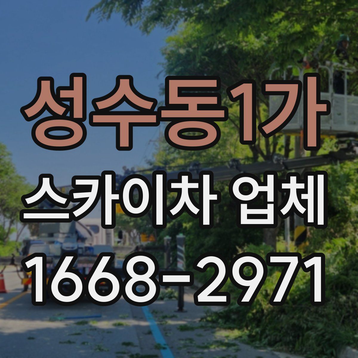 성수동1가 스카이차 업체