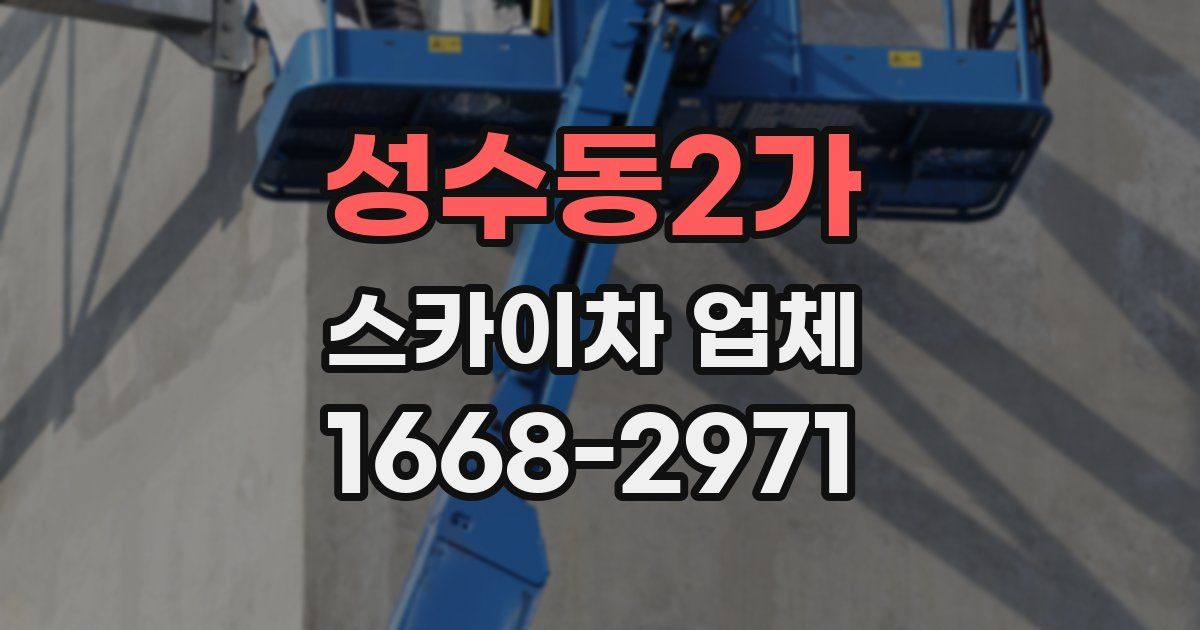 성수동2가 스카이차 업체