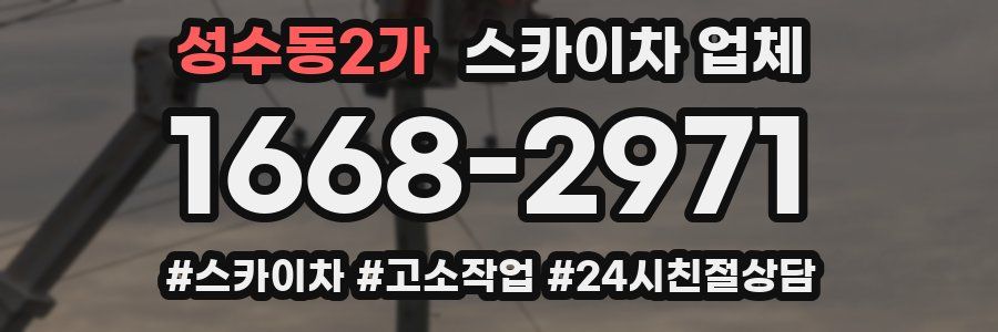 성수동2가 스카이차 업체