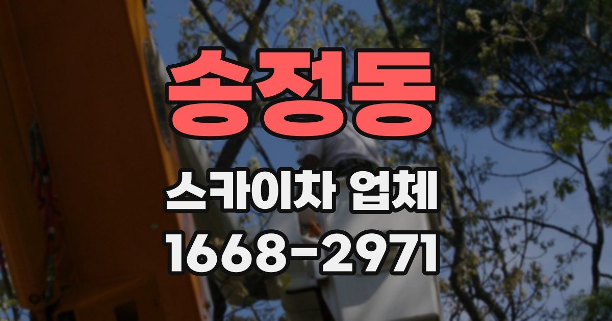 송정동 스카이차 업체