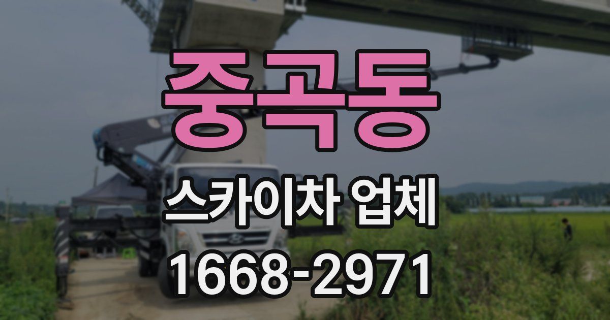 중곡동 스카이차 업체