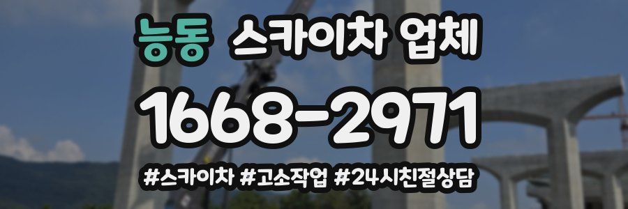 능동 스카이차 업체